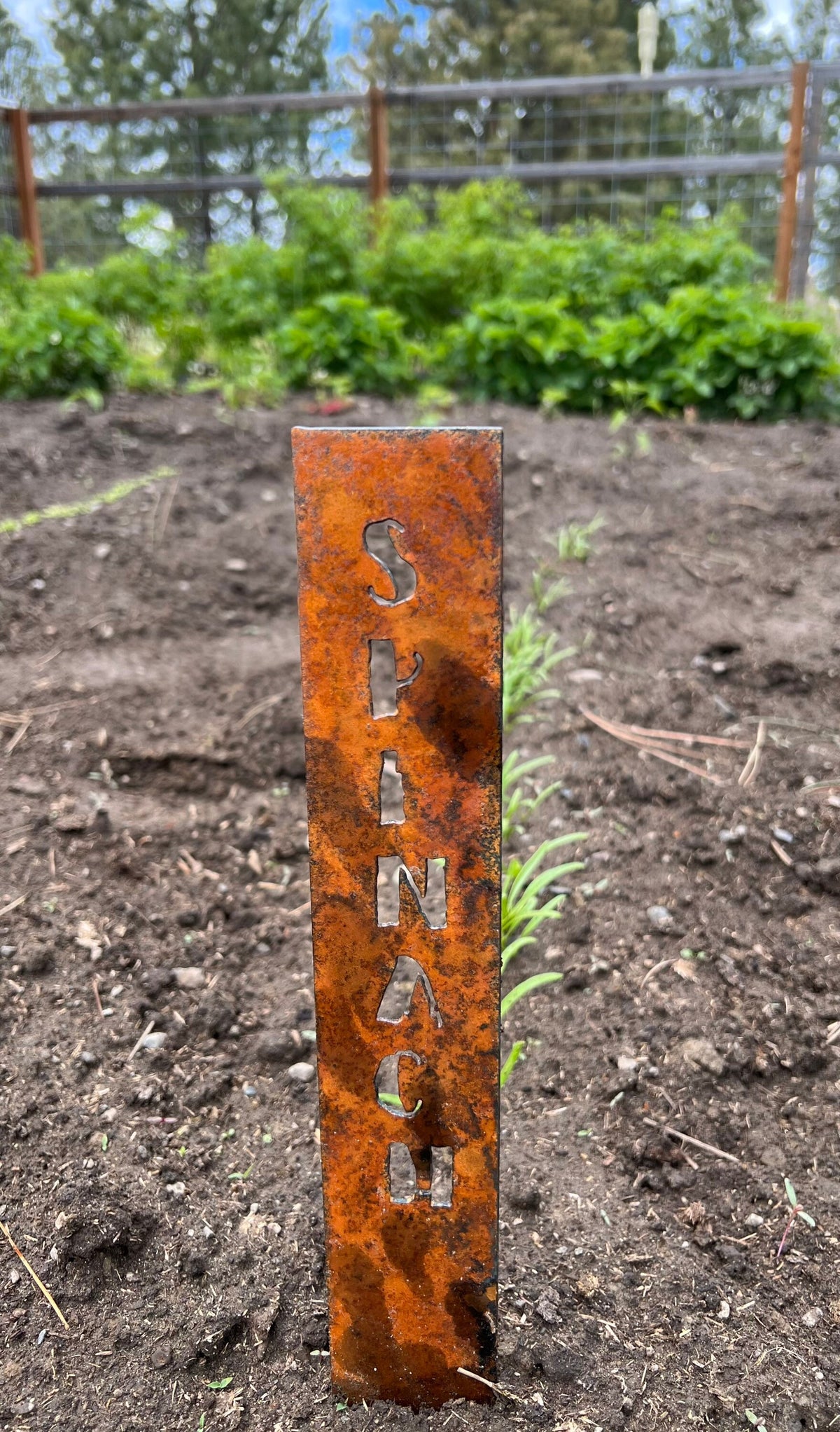 Rusty Metal Vegetable Garden Stakes: Rustic Plant Markers