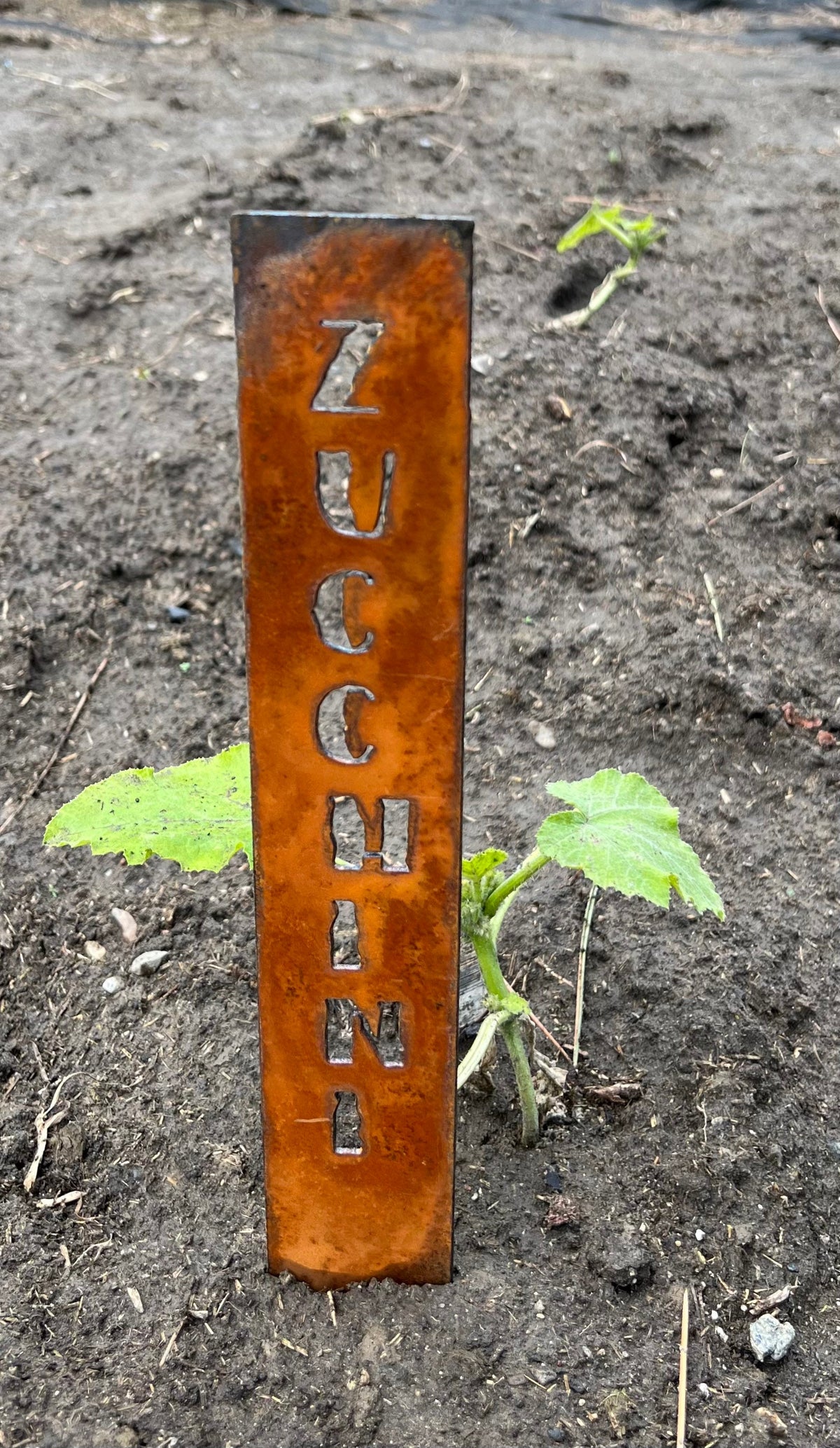 Rusty Metal Vegetable Garden Stakes: Rustic Plant Markers